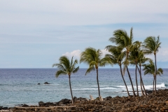 Lapakahi State Historical Park