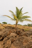 Lapakahi State Historical Park