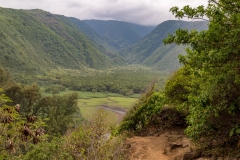 Pololu Valley