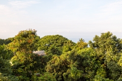 Holualoa view