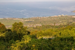 Holualoa view