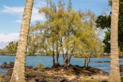 Liliuokalani Park and Gardens