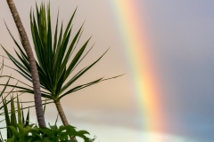 Hilo Rainbow