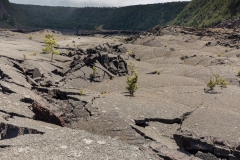 Kilauea Iki crater