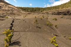 Kilauea Iki crater