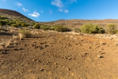Mauna Kea