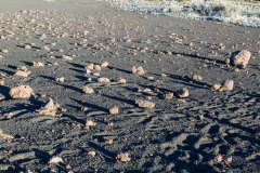 Mauna Kea