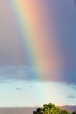 Hilo Rainbow