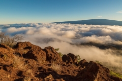 Up in the clouds