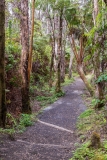 Crater Rim Trail