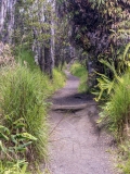 Devastation Trail