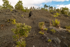 Puhimau crater