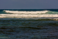 Surf's up
