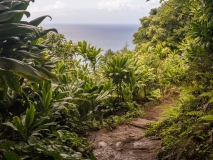 Kalalau Trail