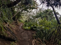 Kalalau Trail