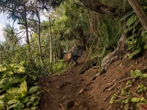 Kalalau Trail