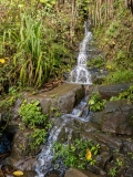 Kalalau Trail Cascade