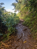 Kalalau Trail