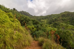 Kalalau Trail