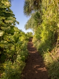 Kalalau Trail