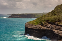 View east from Kilauea Point