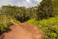 Pihea Trail