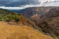 Waimea Canyon from Cliff Trail Lookout