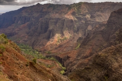 Waimea Canyon from Cliff Trail Lookout