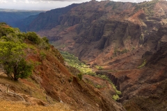 Waimea Canyon from Cliff Trail Lookout