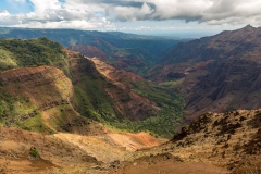 Waimea Canyon from Pu'u Hinahina Lookout