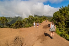 Pihea Trail