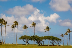 Kualoa Regional Park