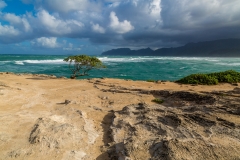 Windward Oahu