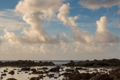 Shark's Cove rockpool