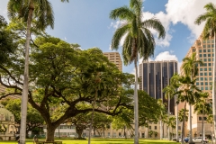 Iolani Palace grounds