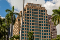 Iolani Palace grounds