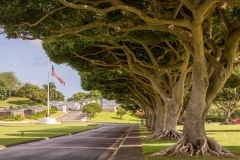 National Memorial Cemetery of the Pacific