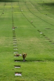 National Memorial Cemetery of the Pacific