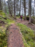 Farigaig Forest