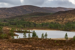 Glen Affric