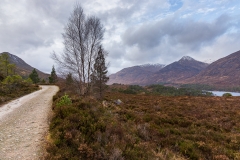 Glen Affric