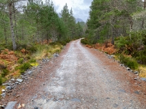Glen Affric track