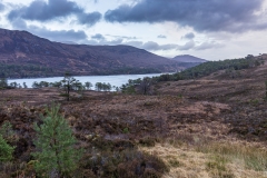 Glen Affric