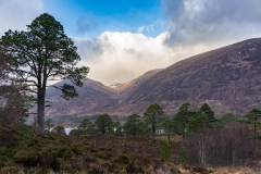 Glen Affric