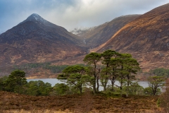 Glen Affric