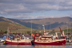 Dingle Harbour