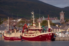 Dingle Harbour