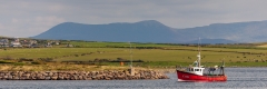 Dingle Harbour