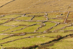 Drystone Walls