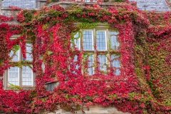 Muckross House